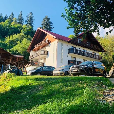 Pensiunea Pietrosul Borşa Exterior foto