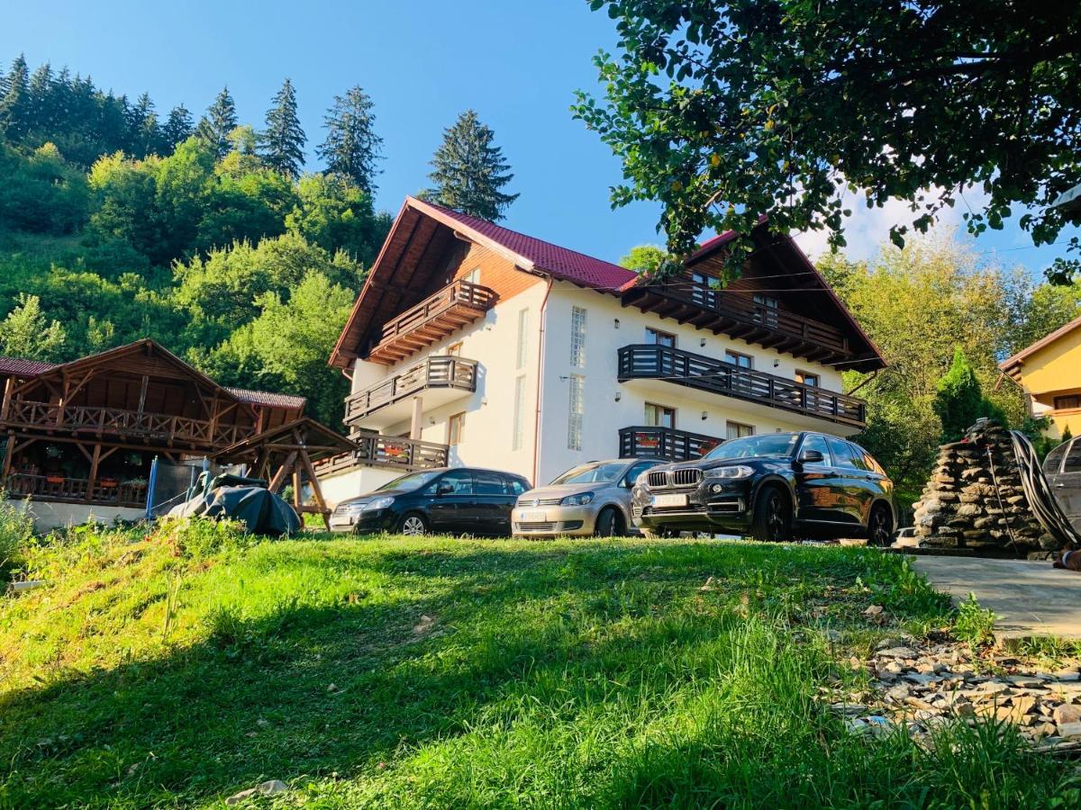 Pensiunea Pietrosul Borşa Exterior foto