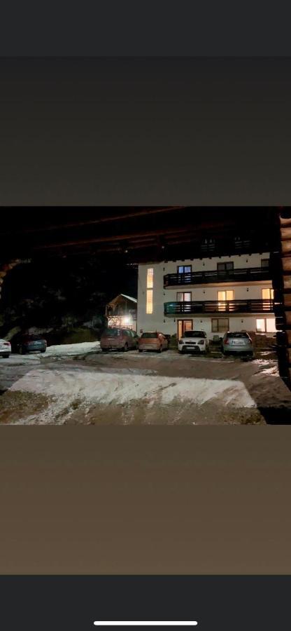 Pensiunea Pietrosul Borşa Exterior foto